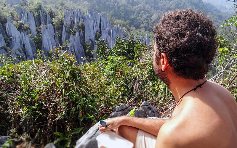 The Pinnacles, Mulu, Borneo