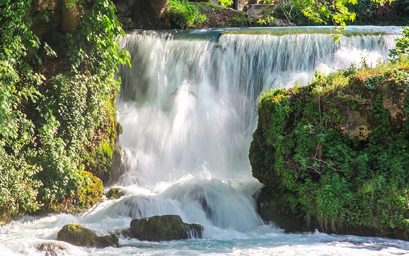 Tarsus Selalesi, Tarsus