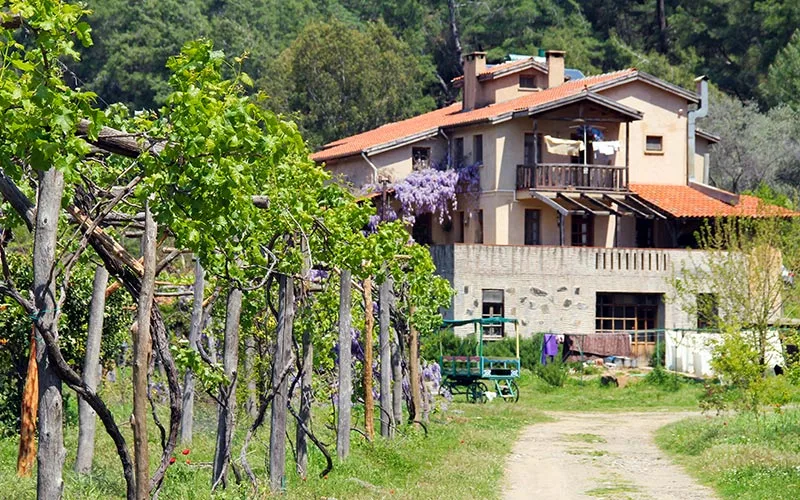 Pastoral Vadi, Fethiye