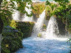 Tarsus Selalesi, Mersin