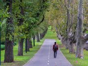 Melbourne Gezilecek Yerler Melbourne Gezilecek Yerler