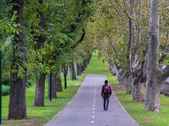 Melbourne Gezilecek Yerler Melbourne Gezilecek Yerler