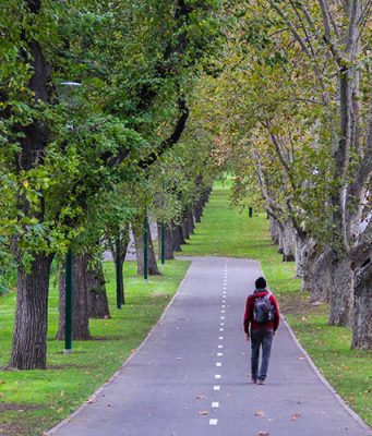 Melbourne Gezilecek Yerler   Melbourne Gezilecek Yerler