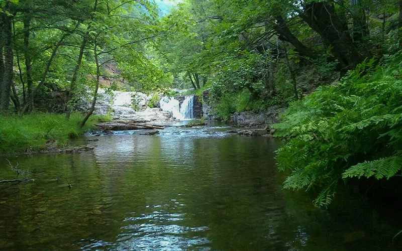 Darıdere Tabiat Parkı