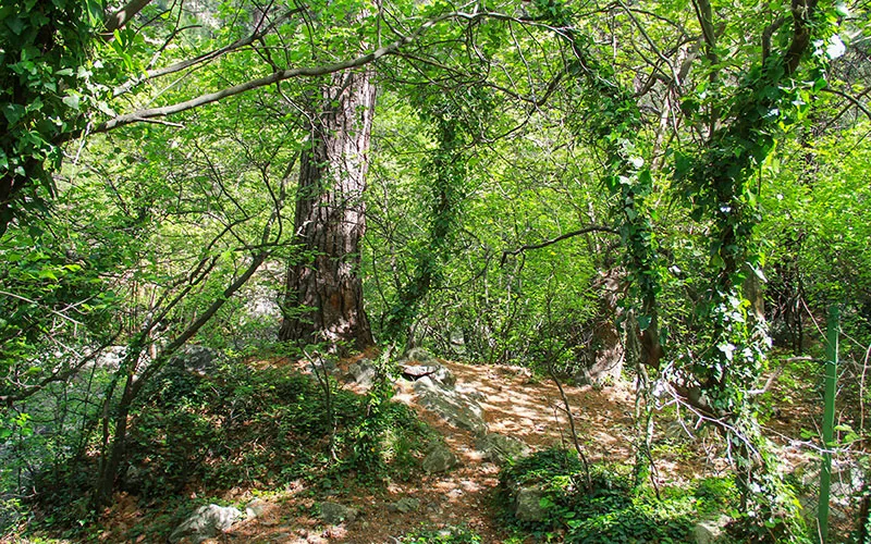 Kazdaglarinda Gezilecek Yerler