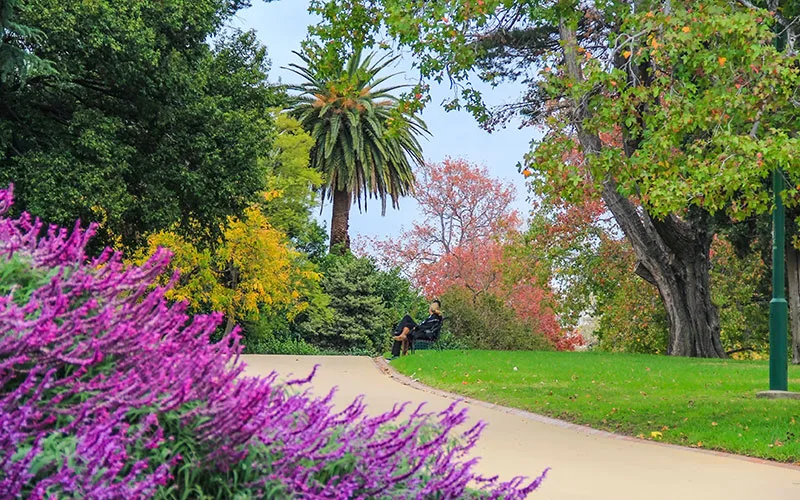Melbourne Botanical Park