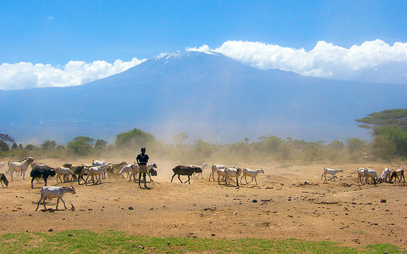 Kilimanjaro Milli Parkı, Tanzanya