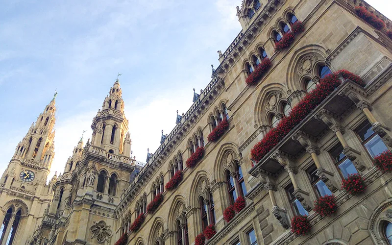 viyana belediye binasi rathaus