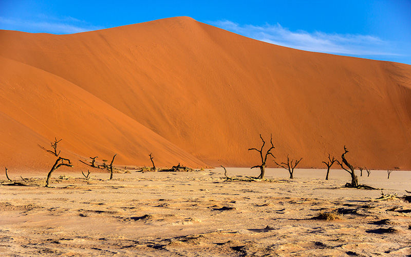 Big Daddy, Sossusvlei