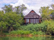 Zambiyalı Cennet Parçası: Royal Chundu, Zambiya Royal Chundu Lodge, Zambia