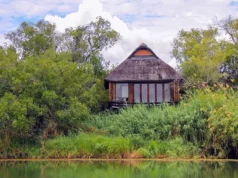 Royal Chundu Lodge, Zambia