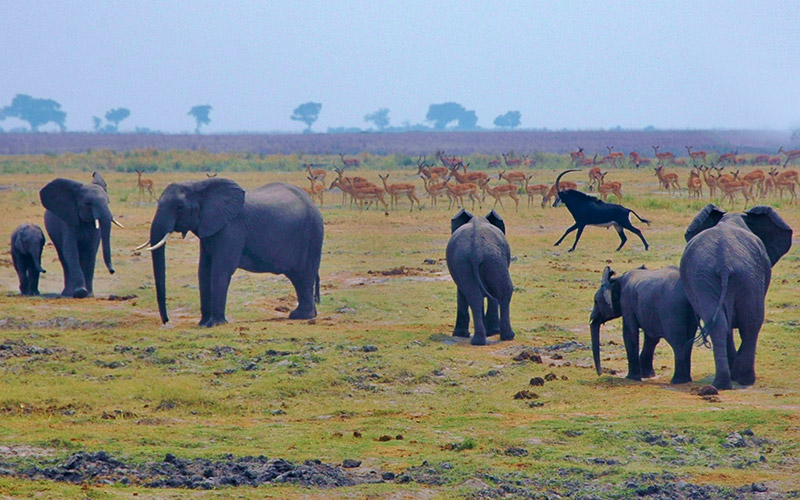 Caprivi, Namibia