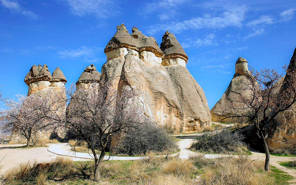 Paşabağı, Çavuşin Köyü, Avanos