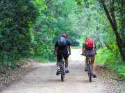 Dünyanın En Güzel Kıyı Şeritlerinden Garden Route, Güney Afrika Guney Afrika Garden Route