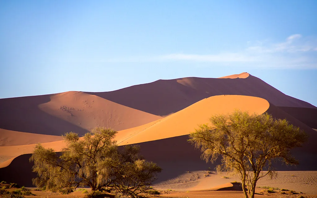 Desert of Namibia