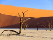 Place To See Namibia
