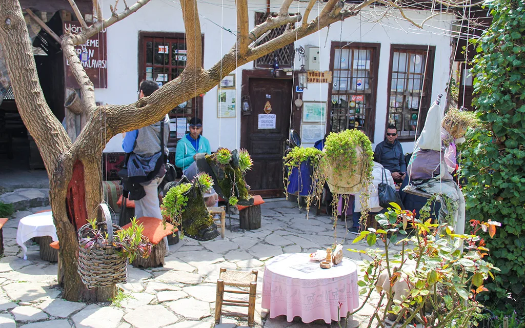 Yörük Köyü Nerede