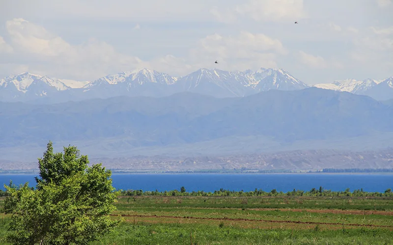 Balıkçı, Issık Göl, Kırgızistan