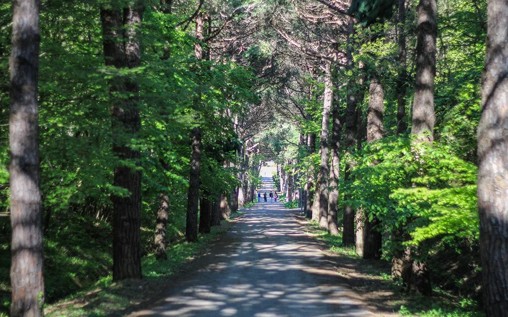 Atatürk Arboretum