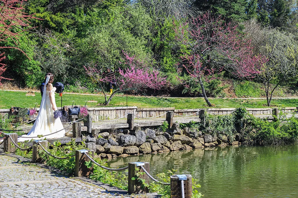 Atatürk Arboretumu fotoğraf çekimi