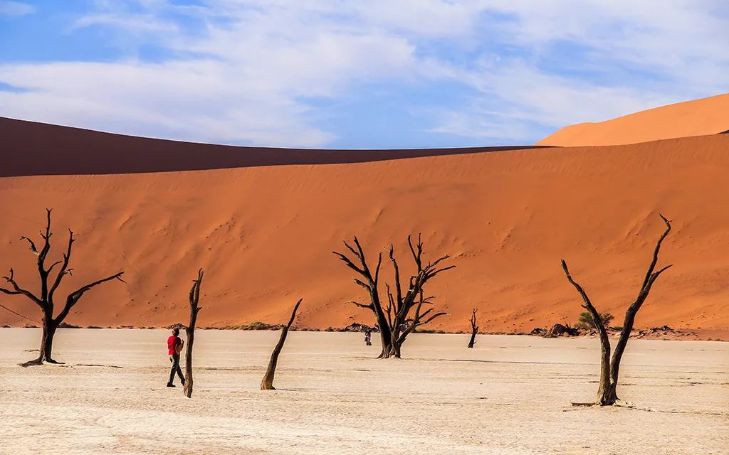 Namib Desert
