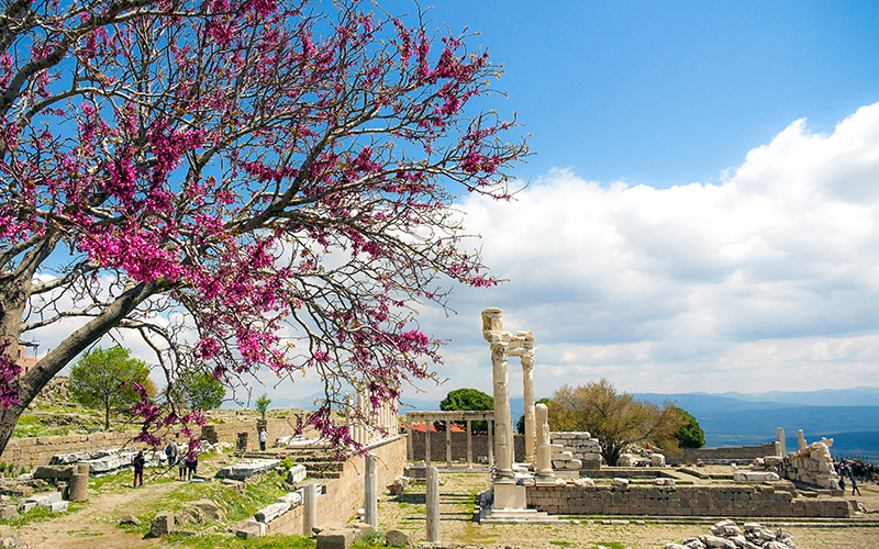 Bergama Gezilecek Yerler