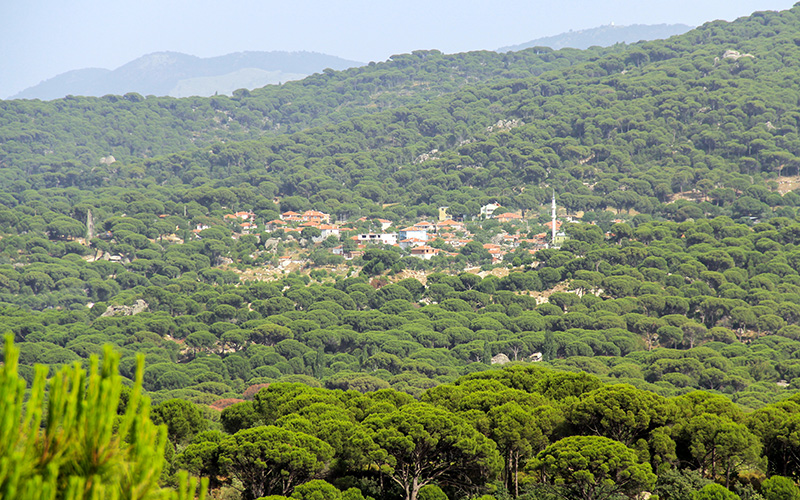 Bergama Kozak Yaylası