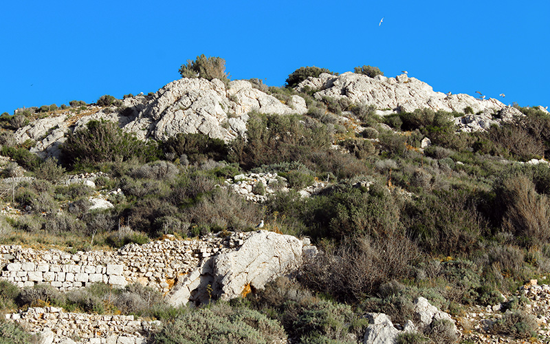 Silifke boğsak adası