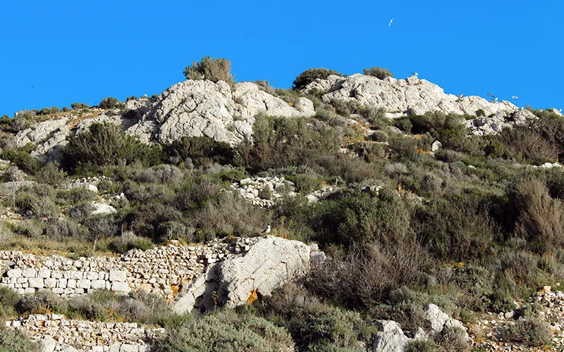 Silifke boğsak adası
