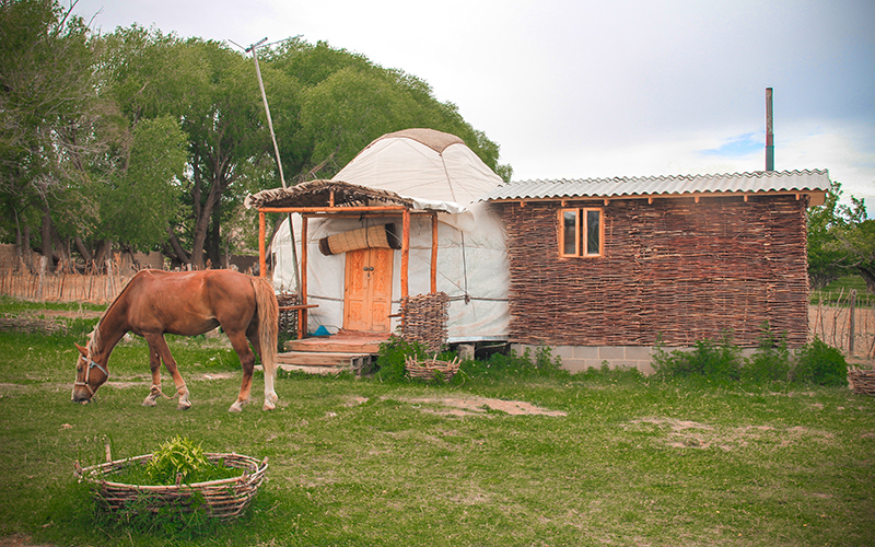 Almaluu Yurt Camp