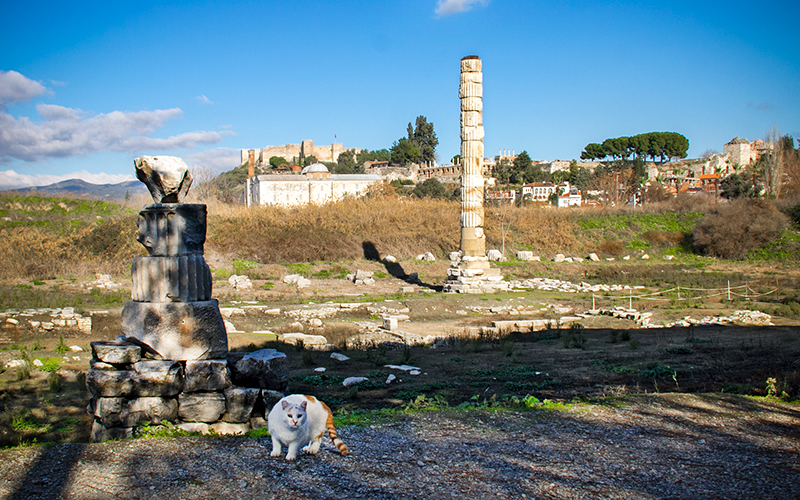 selçuk artemis tapınağı