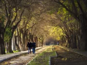 Selçuk Dutlu Yol selçuk dutlu yol