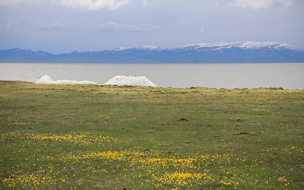 kyrgyzstan song kul lake