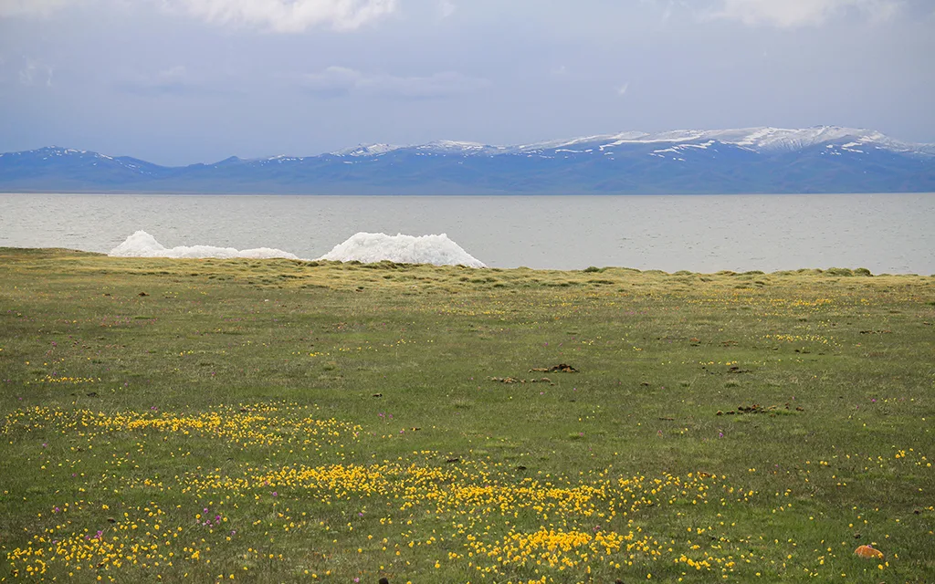 kyrgyzstan song kul lake