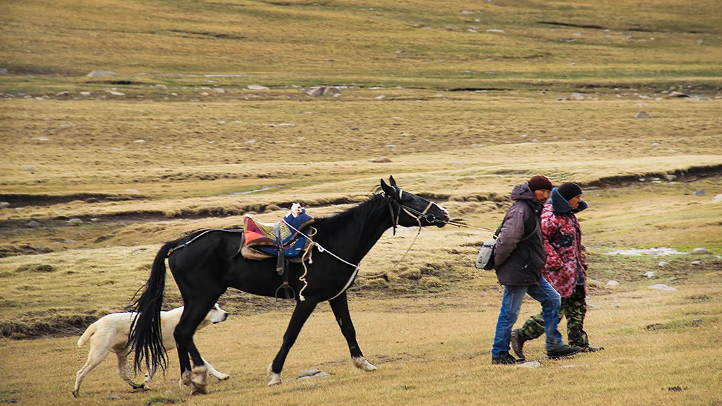 Kirgızistan geçitleri