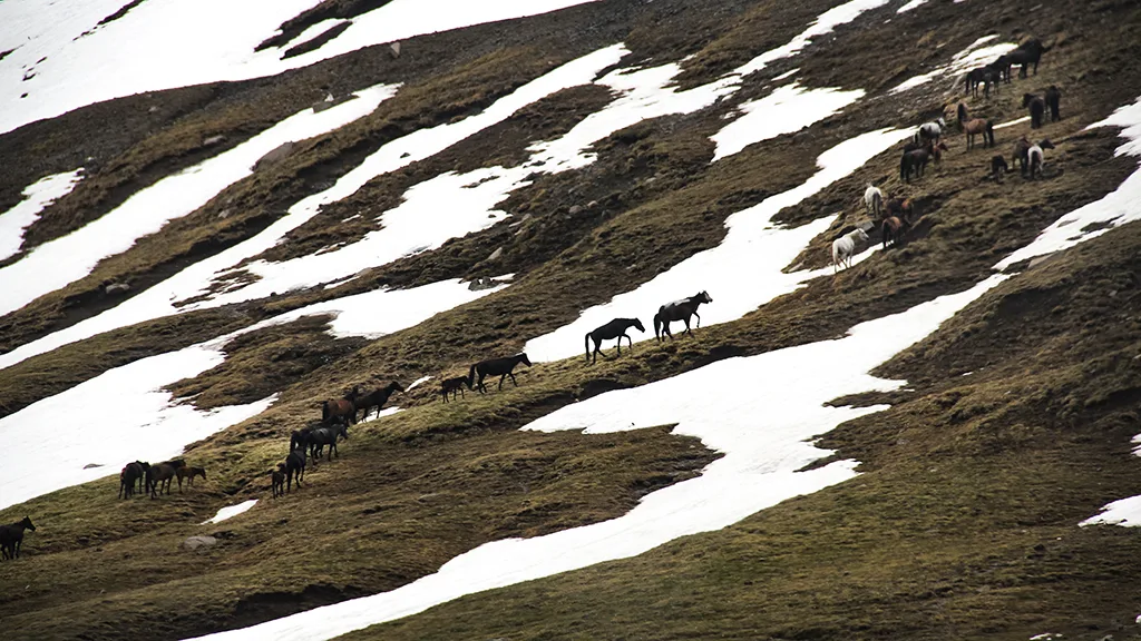 kirgizistan manzaralari