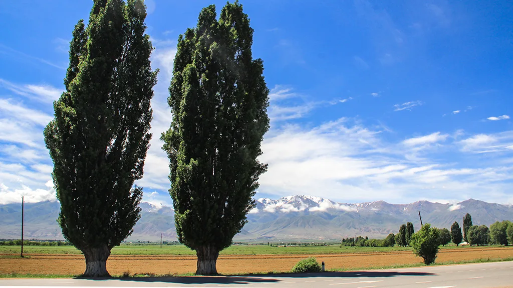 Kockhor, Kırgızistan