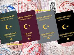 Pasaport Nedir? Pasaport Çeşitleri ve Özellikleri pasaport türleri