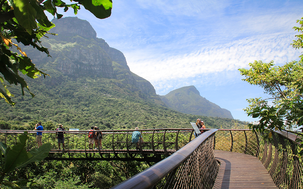 Kirstenbosch Botanic Garden