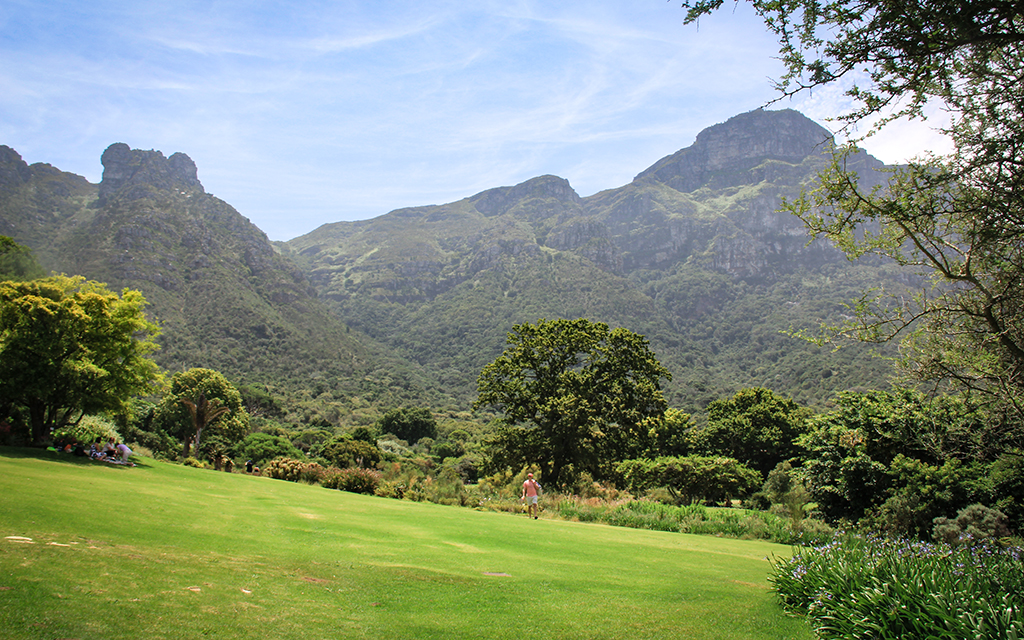 Kirstenbosch Botanik Bahcesi