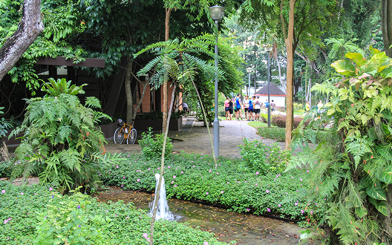 MacRitchie Reservoir