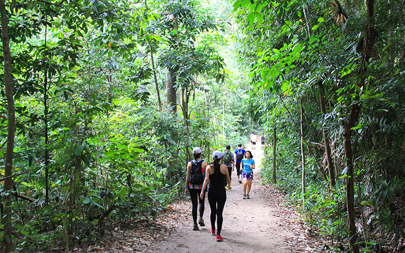 MacRitchie Singapore