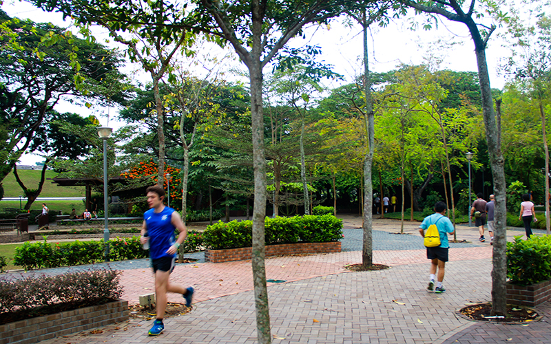 Singapur MacRitchie Reservoir