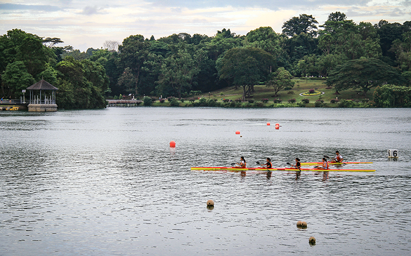 Singapur MacRitchie