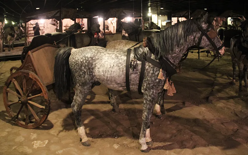 anadolu arabaları muzesi