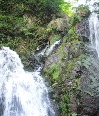 Oylat Şelalesi: Bursa’nın Orman İçinde Sakladığı Serin Kaçış bursa selale oylat