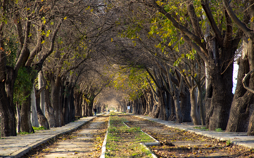 dutlu yol selçuk