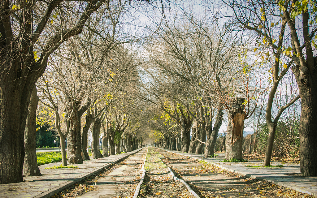 selçuk gezilecek yerler dutlu yol