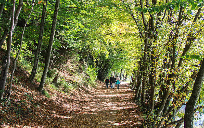 wolfgangsee nasıl gidilir