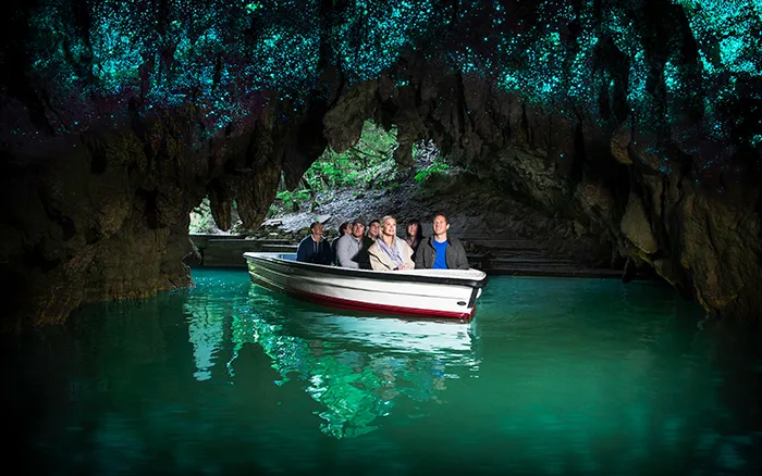 waitomo glow worm caves